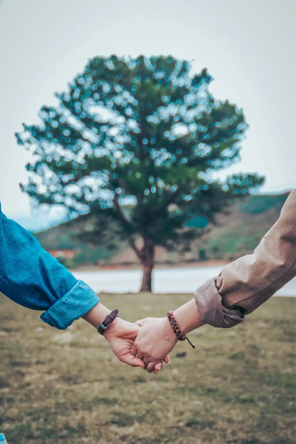 Couples Therapy: Get Help From a Licensed Counselor