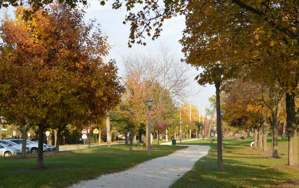 Villa Park Therapist: Mental Health Services in Villa Park, Illinois