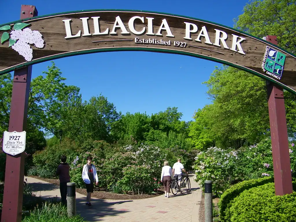 Lombard Therapist: Mental Health Services in Lombard, Illinois