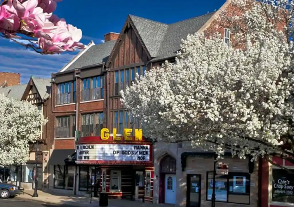 Glen Ellyn Therapist: Mental Health Services in Glen Ellyn, Illinois